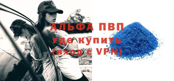 стафф Богданович