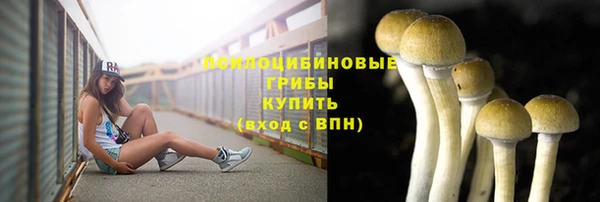 прущие крисы Богородск